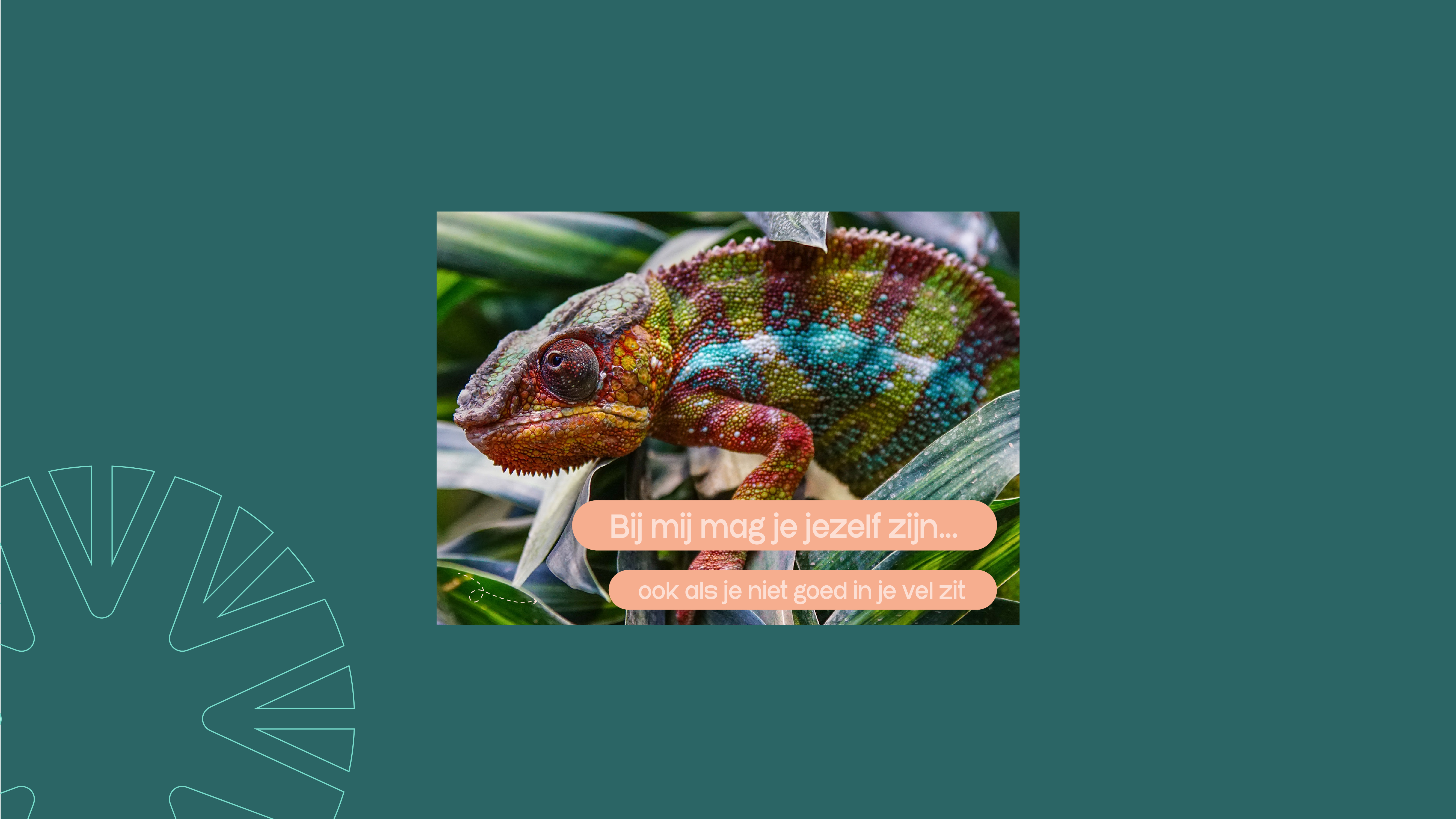 Postkaart: Hulpverleningskaart geestelijke gezondheid - jongeren (Kameleon)