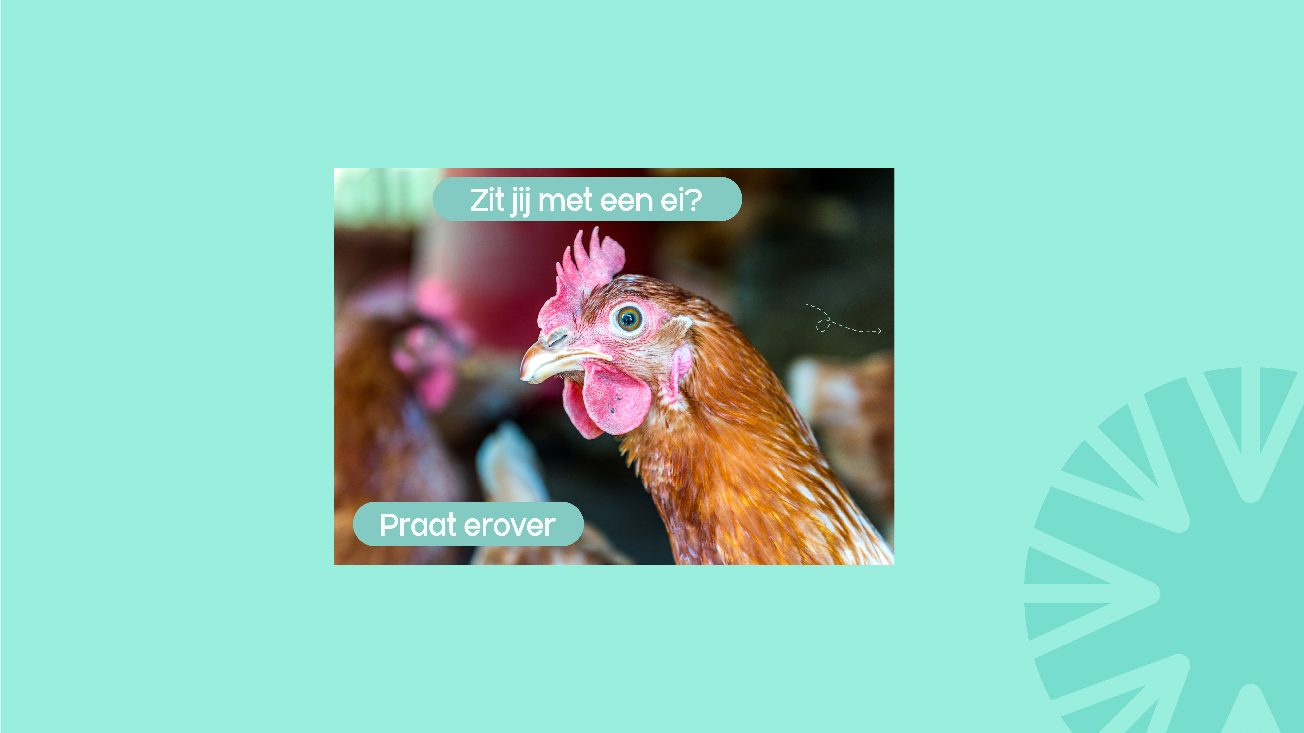 Postkaart: Hulpverleningskaart geestelijke gezondheid - jongeren (Kip)