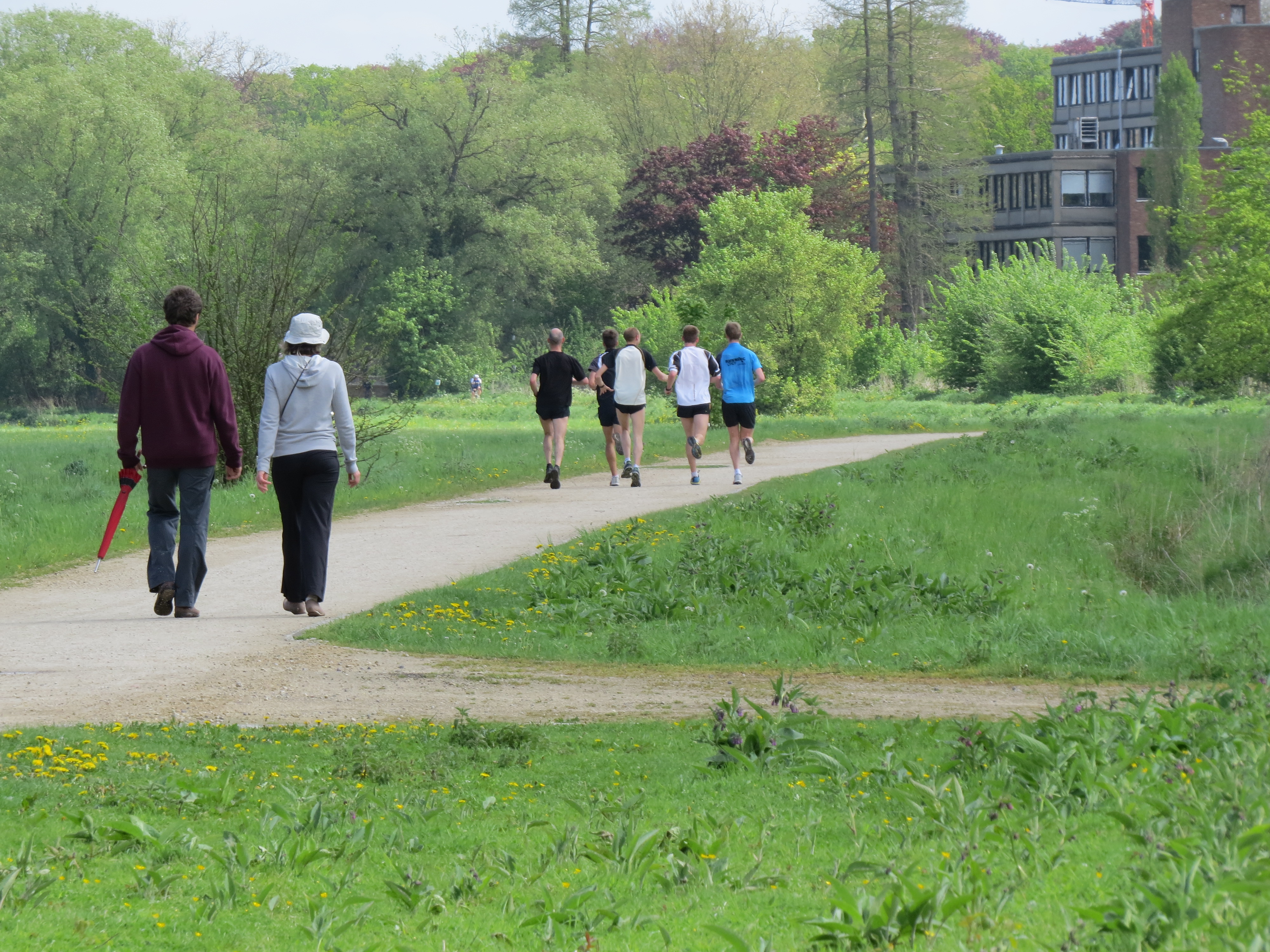 Extra afbeelding 3 voor Digitale infobrochure: Begeleidingstraject Gezonde Publieke Ruimte